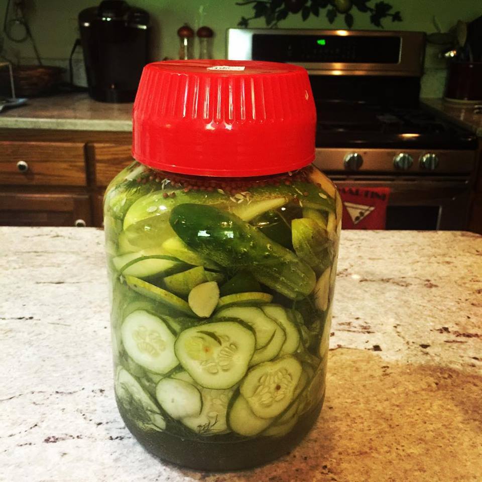 Recipe Time: Refrigerator Dill Pickles